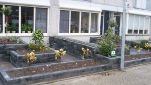 Aanleg tuin